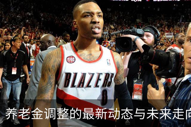 养老金调整的最新动态与未来走向分析