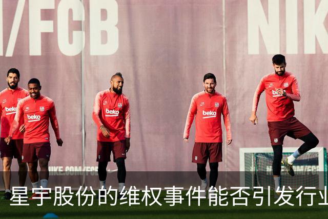 星宇股份的维权事件能否引发行业反思与变革？